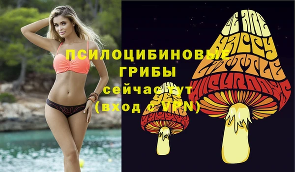 марки nbome Алексеевка