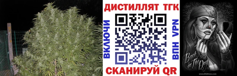 дарк нет наркотические препараты  Елизово  Дистиллят ТГК Wax 